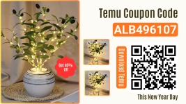 1767439049494.png 1767439049494.png