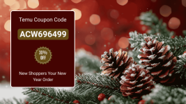 1768211363253.png 1768211363253.png